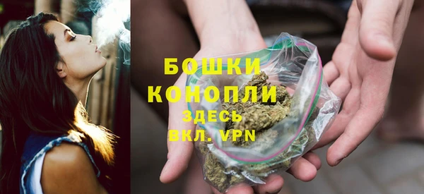 прущие грибы Белокуриха