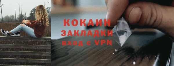 прущие грибы Белокуриха