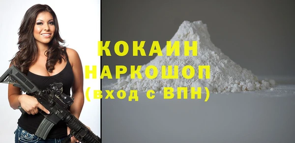 прущие грибы Белокуриха