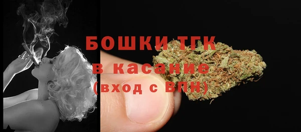 прущие грибы Белокуриха