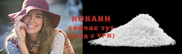 прущие грибы Белокуриха