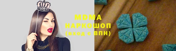 прущие грибы Белокуриха