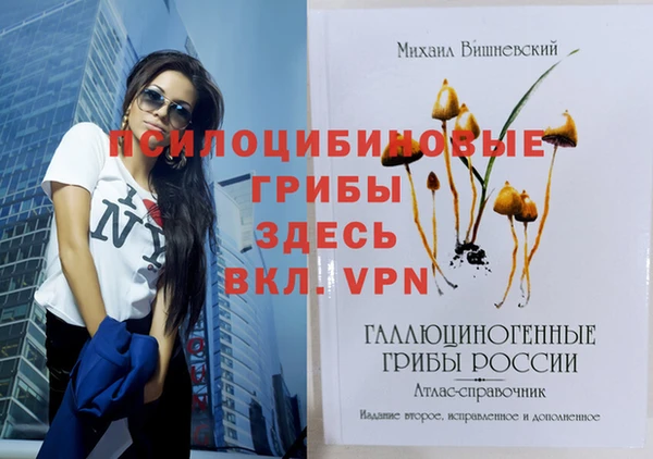 метадон Беломорск