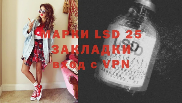 прущие грибы Белокуриха