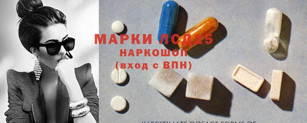 прущие грибы Белокуриха