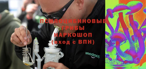 прущие грибы Белокуриха