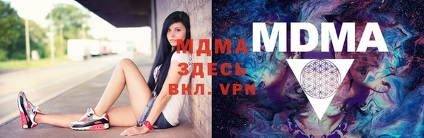 прущие грибы Белокуриха